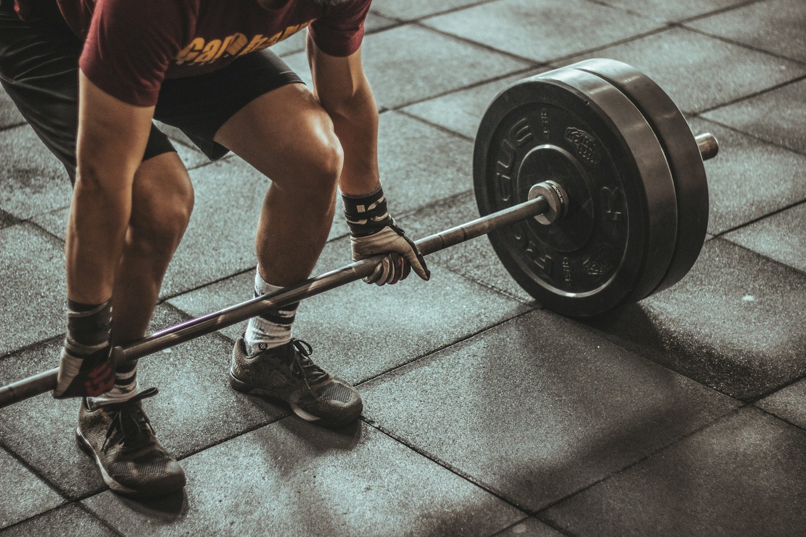 Estrutura Forma Fitness Suzano